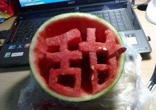 校花宿舍吃瓜,校花宿舍的神秘瓜界