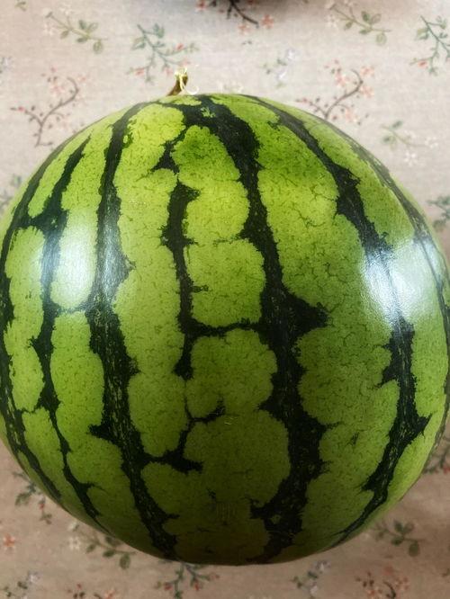 吃瓜动作表演图片高清,高清吃瓜动作图鉴