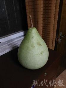 盐城小瓜怎么吃