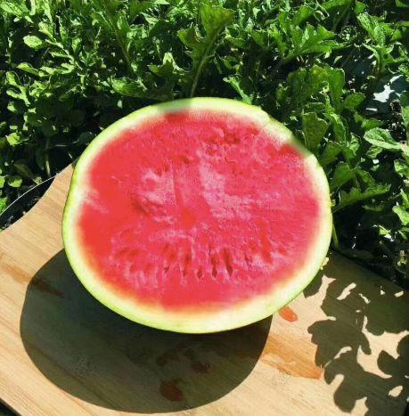 顾寻吃瓜,揭秘娱乐圈背后的那些事儿