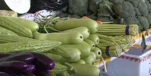 细瓜苦可以吃,揭秘可食用苦味瓜果的神奇魅力