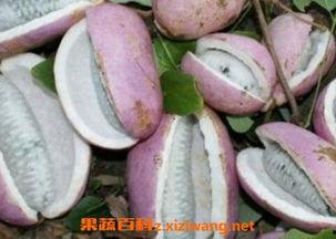 八月瓜和什么菜一起吃,营养与美味的碰撞