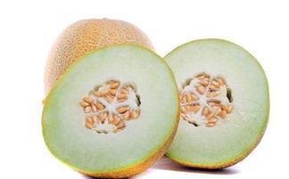 小宝吃哈密瓜好吗怎么吃