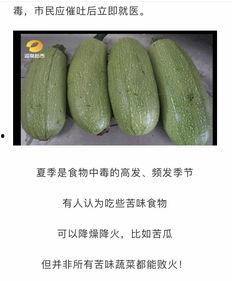 青皮瓜能不能晒瓜干吃,晒瓜干新食尚