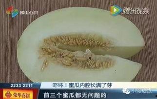 随机吃瓜的全集,揭秘娱乐圈的幕后故事