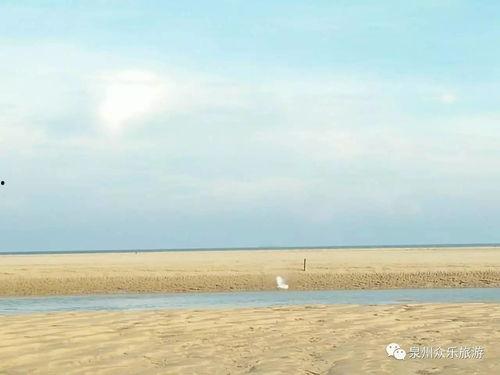 海边吃大瓜,畅享海鲜大瓜美食之旅