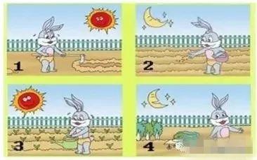 吃瓜记看图说话,揭秘娱乐圈背后的甜蜜与苦涩