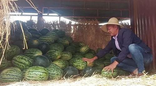 吃瓜事件昆明最新,揭秘背后真相与网络舆论风暴