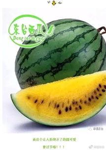 高清微信吃瓜,揭秘网络社交背后的趣味与真相