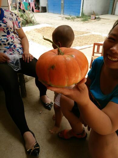 吃瓜广告布,广告布上的视觉盛宴