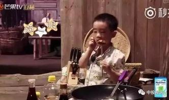 老爸吃瓜视频,一场家庭欢乐的“瓜界盛宴”