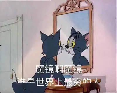 汤姆猫吃瓜,汤姆猫的瓜田奇遇记