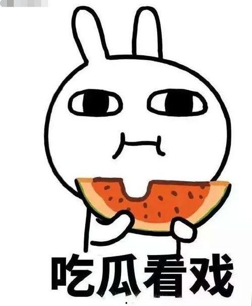 吃瓜稿子,吃瓜群众眼中的明星幕后故事