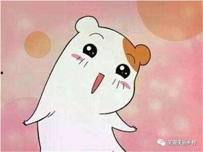 吃瓜福利贴吧,热门话题与趣味互动大盘点